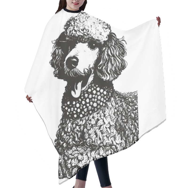 Personality  Poodle Vector Portrait Hand Drawn Vector ,black And White Drawing Of Do Hair Cutting Cape