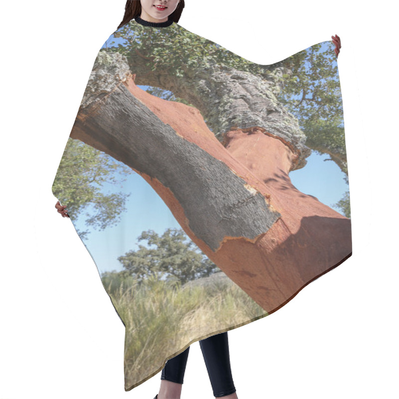 Personality  Cork Tree Hair Cutting Cape