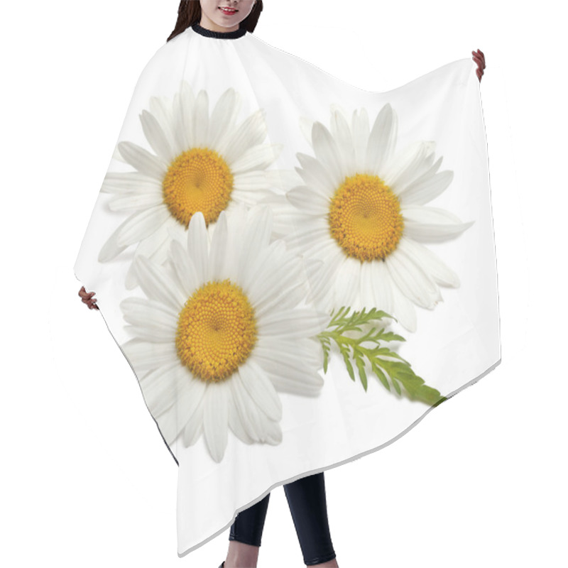 Personality  Chamomile Flower Isolated Hair Cutting Cape