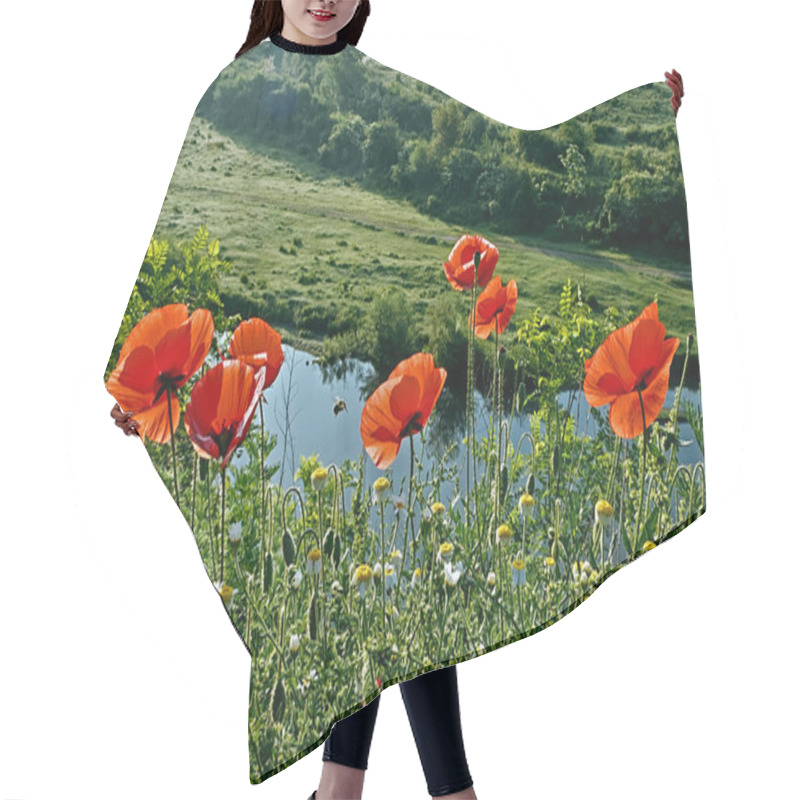 Personality  Landscape With Poppies-2 Hair Cutting Cape