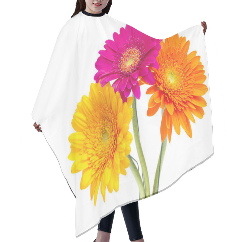 Personality  Gerber Daisy Isolated On White Background Hair Cutting Cape