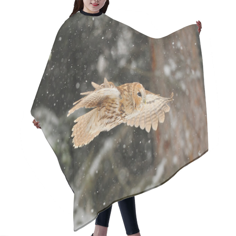 Personality  Flying Tawny Owl Hair Cutting Cape