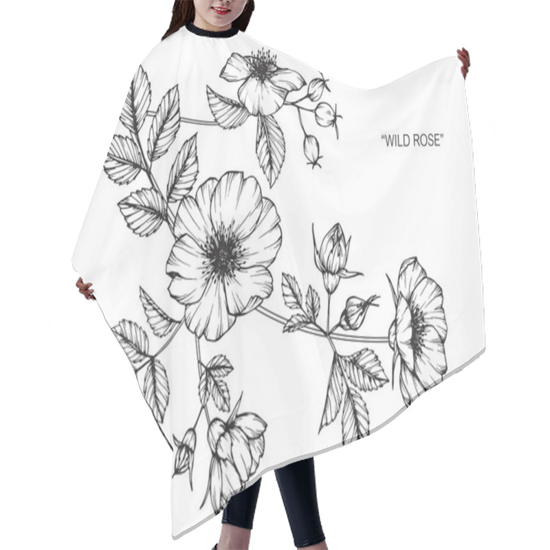 Personality  Wild Rose Flower. Drawing And Sketch With Black And White Line-art. Hair Cutting Cape