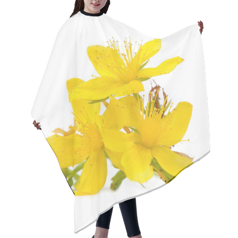 Personality  Perforate St Johns-Wort Flowers Isolated On White Background Hair Cutting Cape