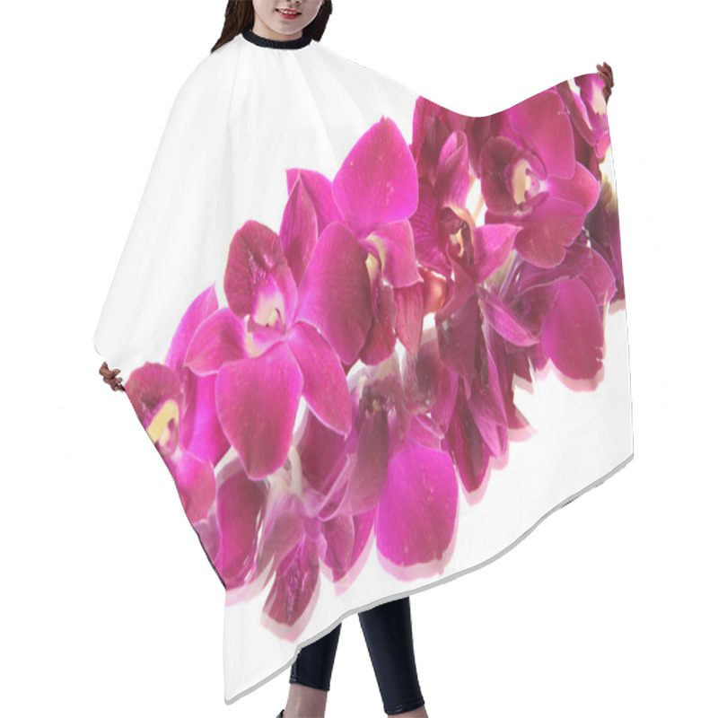 Personality  Orchid. Hair Cutting Cape