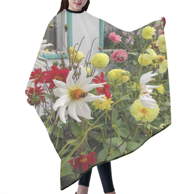 Personality  Flower Blooms In The End Of Summer Hair Cutting Cape