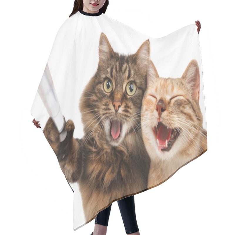 Personality  Funny Cats - Self Picture. Hair Cutting Cape