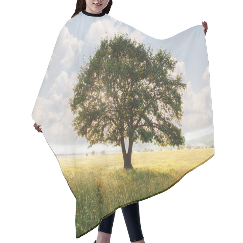 Personality  Lonely Tree Against A Blue Sky At Sunset. Summer Landscape With A Lone Tree At Sunset Barley Field In The Village Hair Cutting Cape