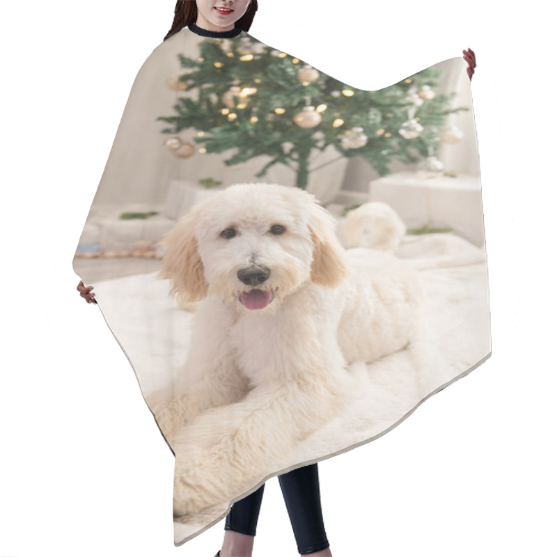 Personality  Golden Doodle Smiling And Laying Down In Front Of Christmas Tree Hair Cutting Cape