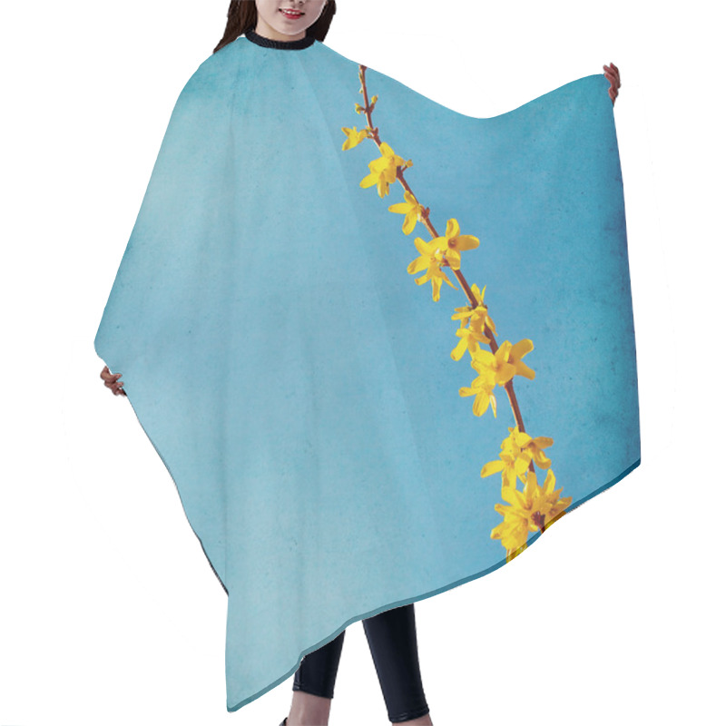 Personality  Spring Blossom Background Hair Cutting Cape