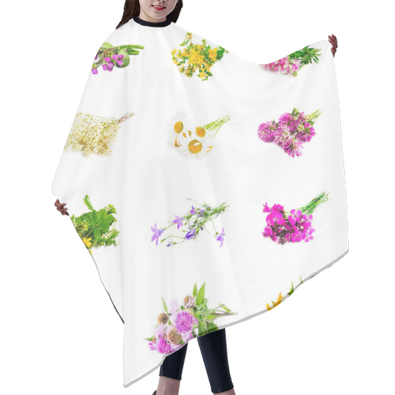 Personality  Natural Medicinal Plants Collage Isolated Hair Cutting Cape