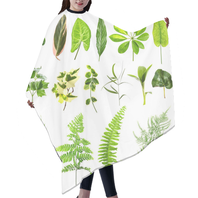 Personality  Set Of Different Houseplants Leaves Hair Cutting Cape