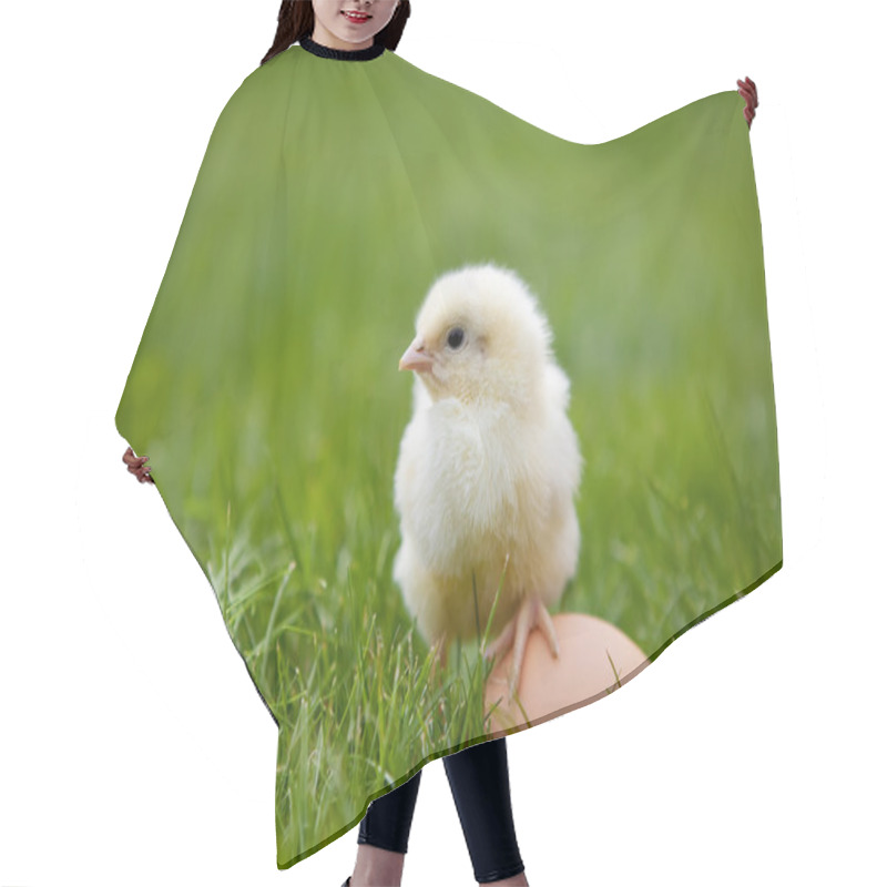 Personality  Little Chicken Hair Cutting Cape