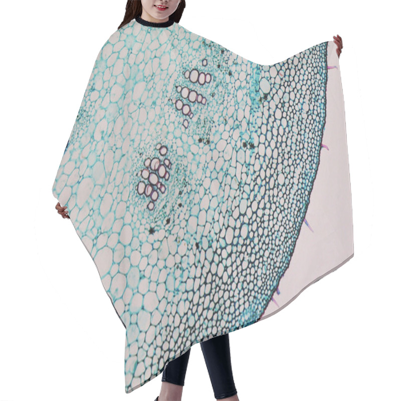 Personality  Mulberry Micrograph Hair Cutting Cape