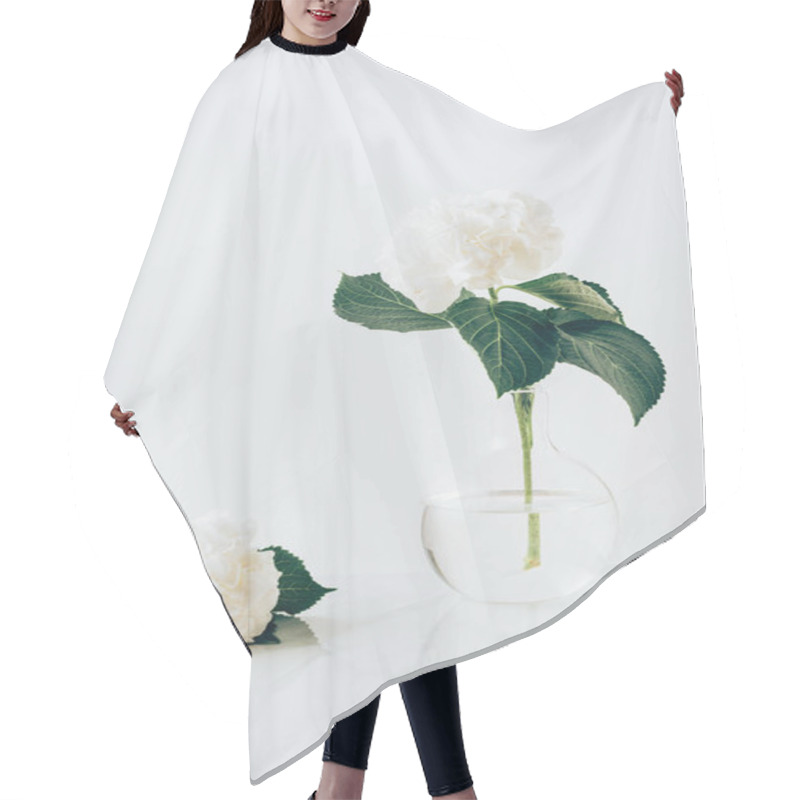 Personality  White Blooming Flowers Of Hydrangea In Vase And On White Surface Hair Cutting Cape