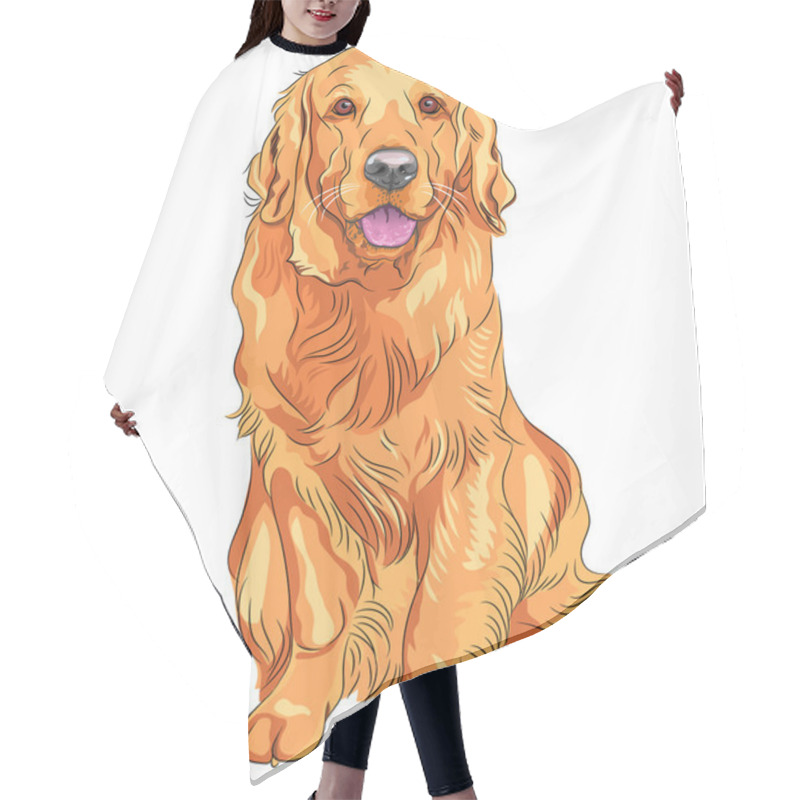 Personality  Vector Sketch Red Gun Dog Breed Golden Retriever Hair Cutting Cape