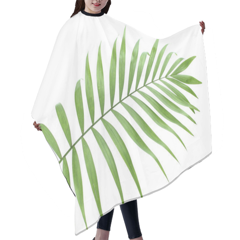 Personality  Beautiful Green Palm Leaf Isolated On White Hair Cutting Cape