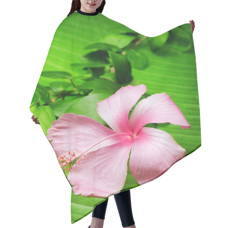 Personality  Hibiscus Flower On The Green Leaf Hair Cutting Cape