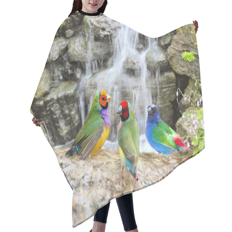 Personality  Exotic Birds Enjoying The Water Hair Cutting Cape