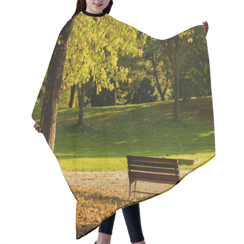 Personality  Empty Bench In The Autumnal Park With Path , Rest Area Away From The Noise Of The City. High Quality Photo Hair Cutting Cape