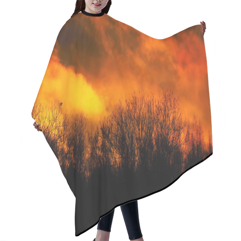 Personality  Glow Of Fire Over The Wild Forest. Hair Cutting Cape