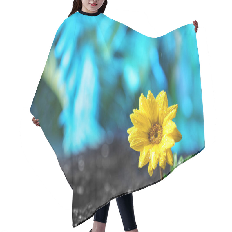 Personality  Fresh Flower In Fertile Soil Under Rain, Space For Text Hair Cutting Cape