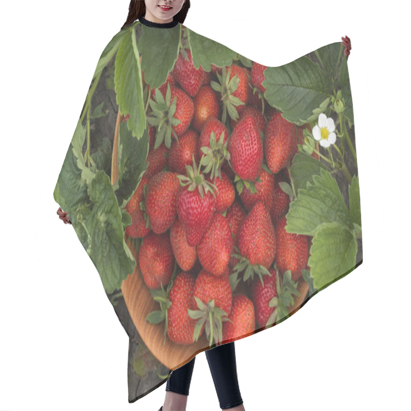 Personality  Close Up Shot Of Freshly Picked Ripe Red Strawberries In The Wooden Bowl Among The Green Leaves Of Strawberry Bushes In The Garden. Yield Of Berries In The Summer. Flat Lay Hair Cutting Cape