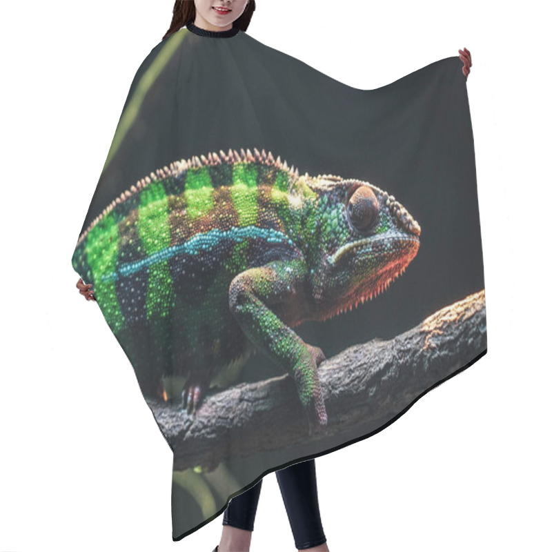 Personality  Chichuuka Lee Chameleon Lurking In The Jungle Hair Cutting Cape