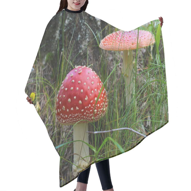 Personality  Beautiful Red Fairytale Fly Agaric Hair Cutting Cape