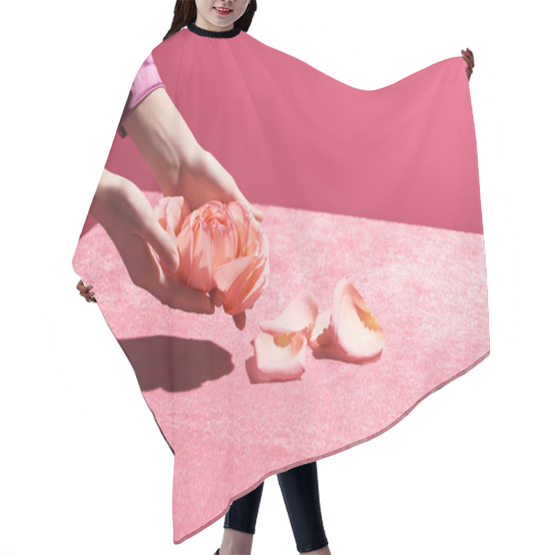 Personality  Cropped View Of Woman Holding Rose Petals Above Velour Cloth Isolated On Pink, Girlish Concept  Hair Cutting Cape