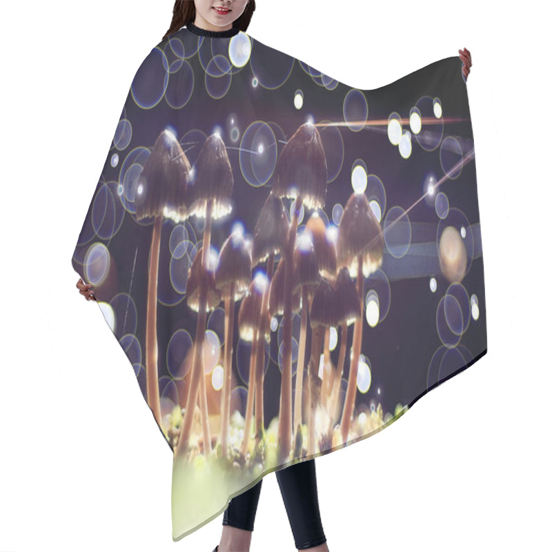 Personality  Small Poisonous Mushrooms Hair Cutting Cape