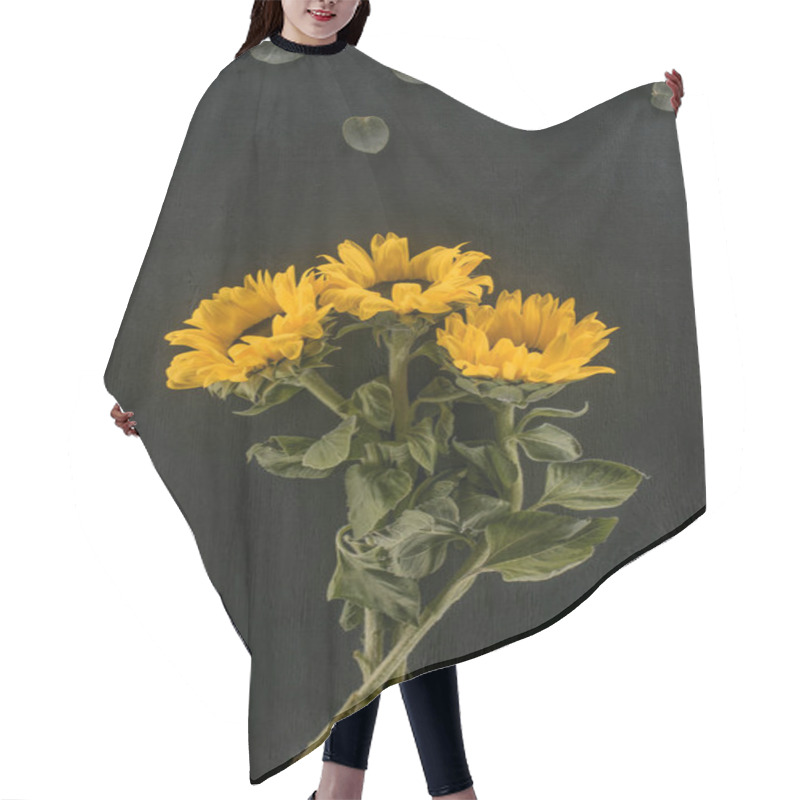 Personality  Beautiful Blooming Sunflowers Isolated On Black Hair Cutting Cape