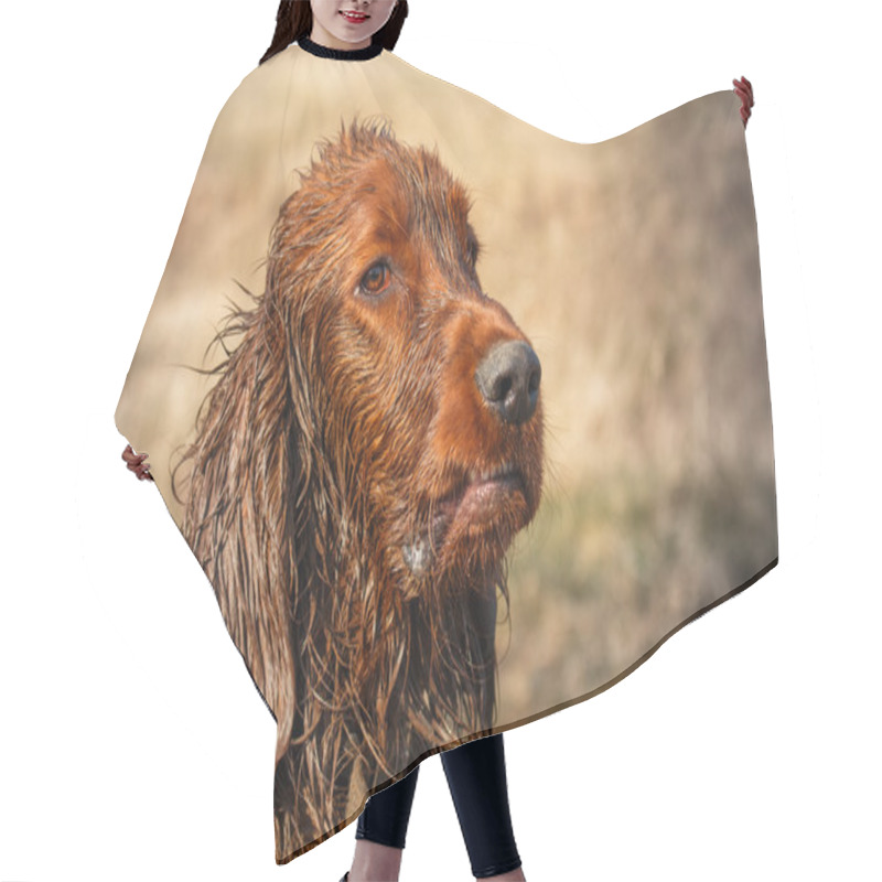 Personality  Dirty Irish Setter Hair Cutting Cape