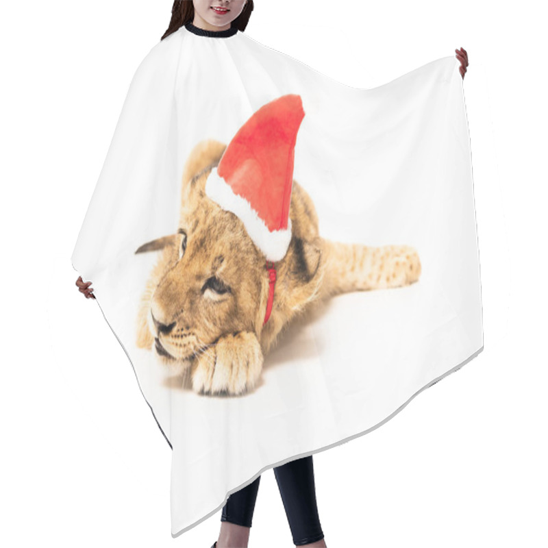 Personality  Cute Lion Cub In Santa Hat Isolated On White Hair Cutting Cape