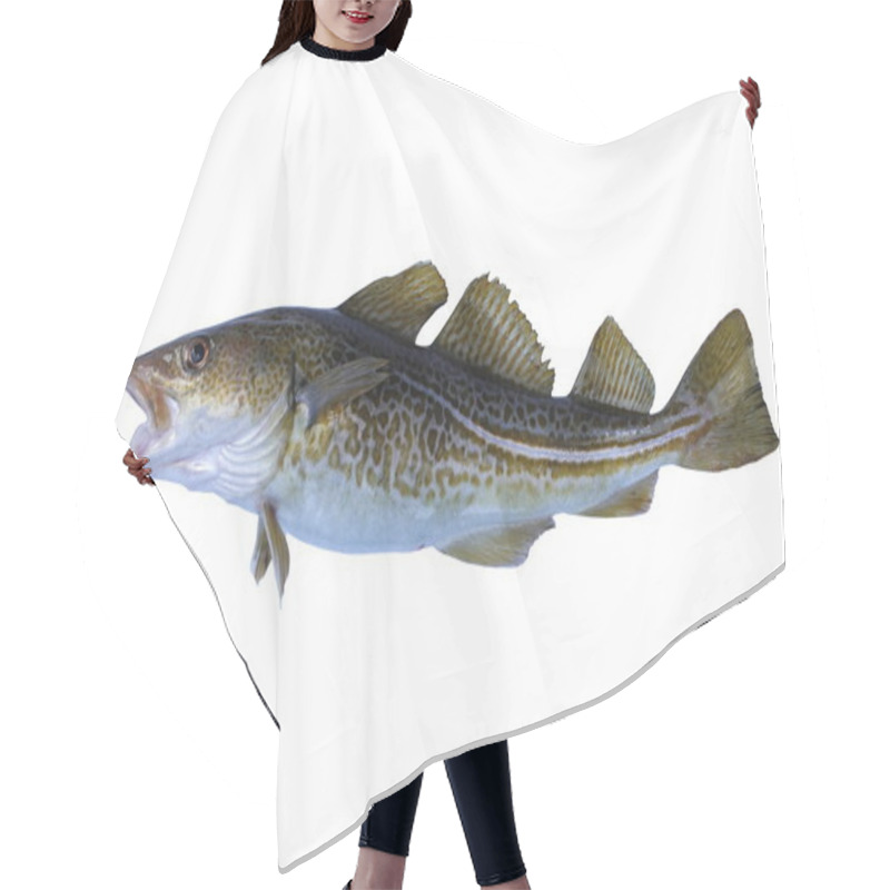 Personality  Codfish Hair Cutting Cape