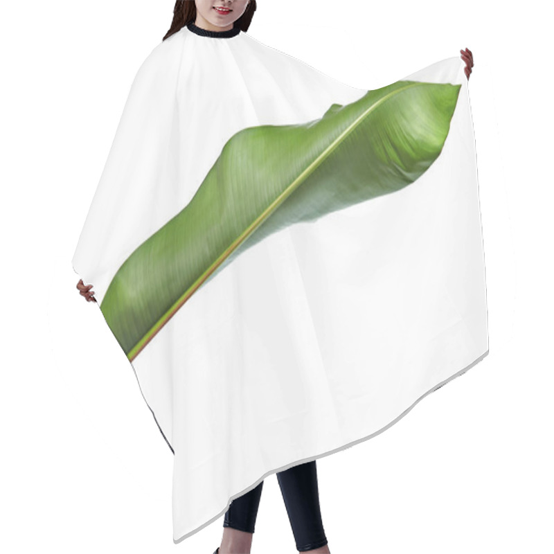 Personality  Strelitzia Reginae, Heliconia, Bird Of Paradise Foliage Isolated On White Background, With Clipping Path Hair Cutting Cape