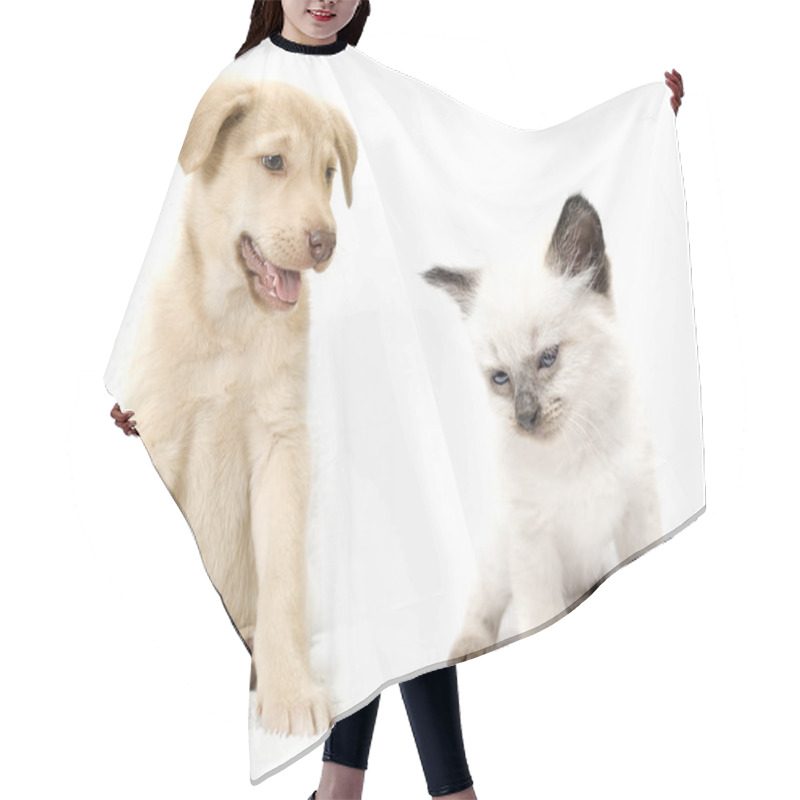 Personality  Puppy And Kitten Hair Cutting Cape