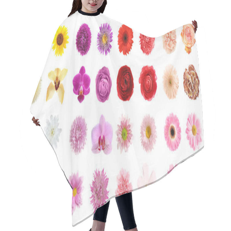 Personality  Set Of Different Beautiful Flowers On White Background. Banner Design Hair Cutting Cape