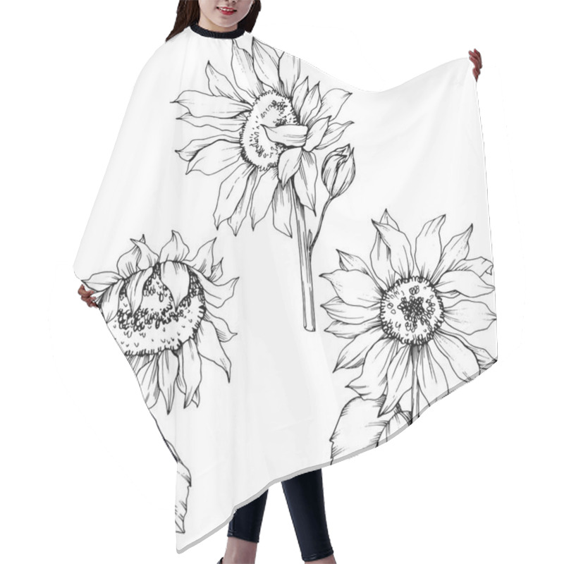 Personality  Vector Sunflower Floral Botanical Flowers. Black And White Engraved Ink Art. Isolated Sunflower Illustration Element. Hair Cutting Cape