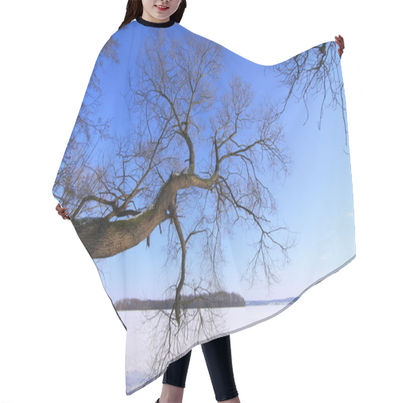 Personality  Tree At A Lake Hair Cutting Cape