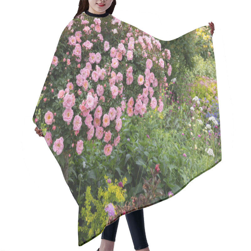 Personality  Beautiful Pink Rose Flowers Blooming In A Garden Hair Cutting Cape