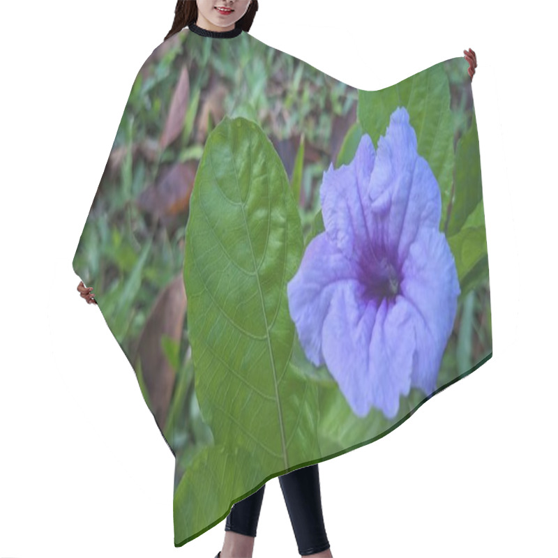 Personality  A Vibrant Purple Flower With A Delicate Texture, Surrounded By Green Leaves. The Flower Is In Focus, Displaying Its Intricate Petals And Central Details.  Hair Cutting Cape