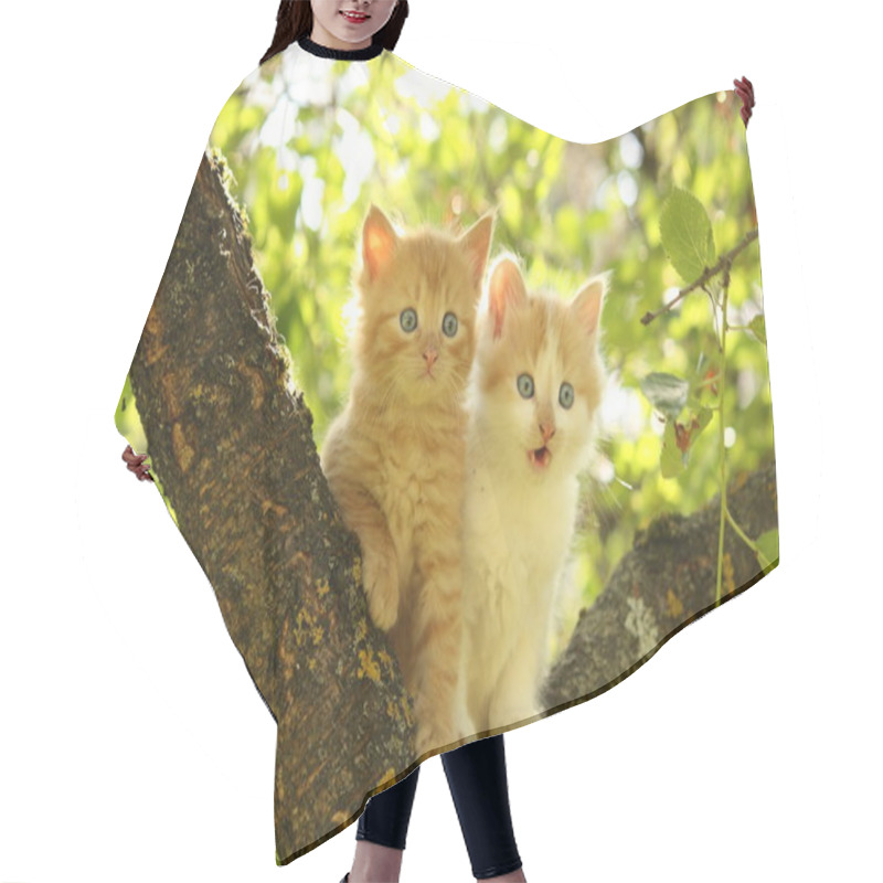 Personality  Two Cute Kittens Sitting On The Tree Branch Hair Cutting Cape