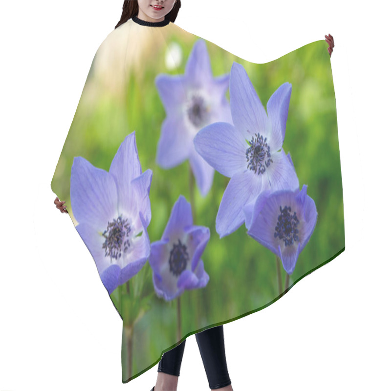 Personality  Wild Plant; Blue Anemone Flower Hair Cutting Cape