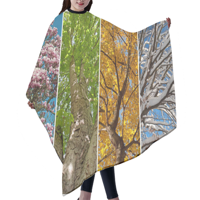 Personality  Four Seasons In A Collage Hair Cutting Cape