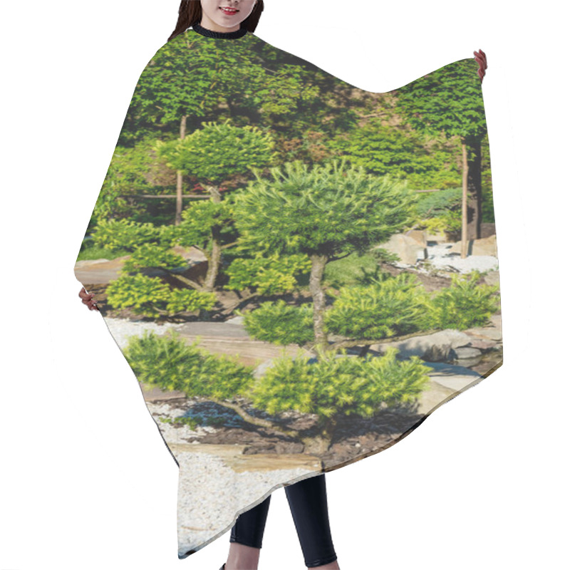 Personality  Green Coniferous Trees Growing On Rocks In Summer Hair Cutting Cape