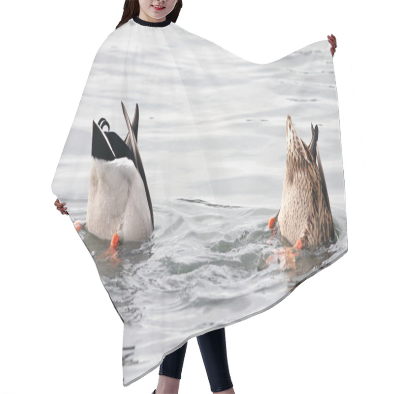 Personality  Diving Ducks Hair Cutting Cape