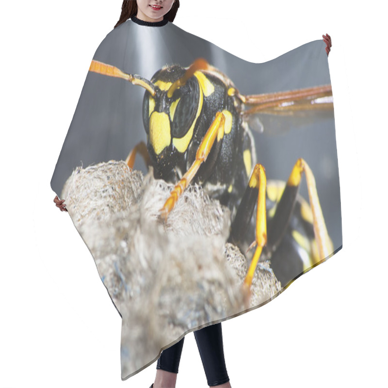 Personality  Wasp On Nest Hair Cutting Cape