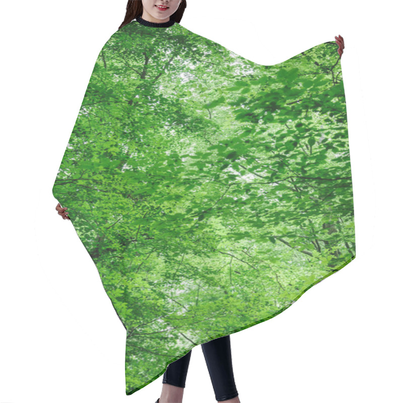 Personality  Low Angle View Of Green Trees With Leaves In Forest In Wurzburg, Germany Hair Cutting Cape