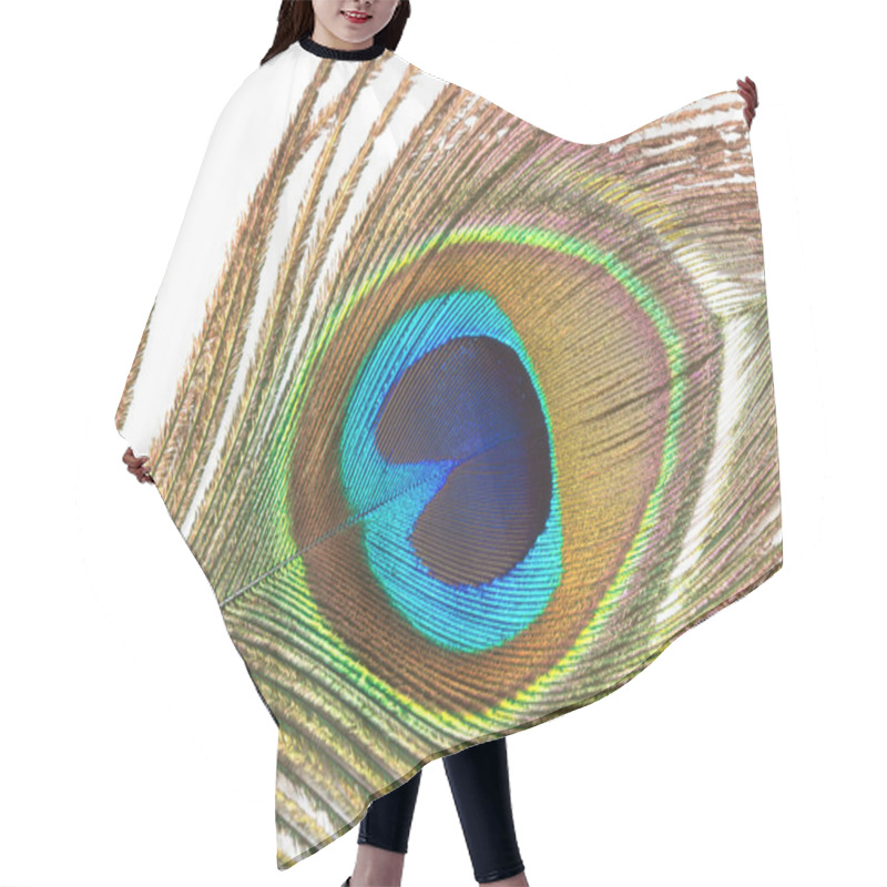 Personality  Close Up Of Peacock Feather On A White Background Hair Cutting Cape